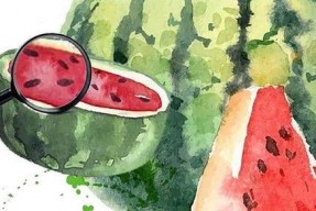 2020年吃瓜汇总,盘点娱乐圈、社会热点中的那些“瓜”